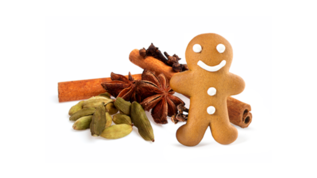 bondi-chai-flavour-ginger-n-spice